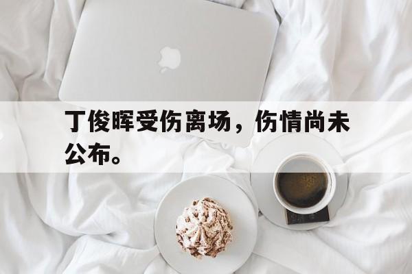 九游游戏盒子下载安装-丁俊晖受伤离场，伤情尚未公布。