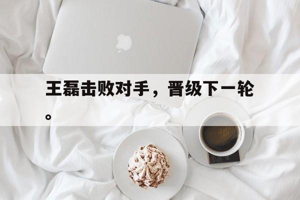 九游游戏盒-王磊击败对手，晋级下一轮。