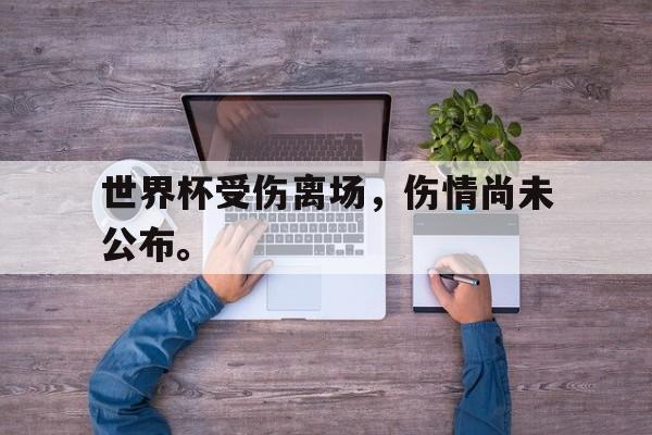 九游游戏盒子下载安装-世界杯受伤离场，伤情尚未公布。