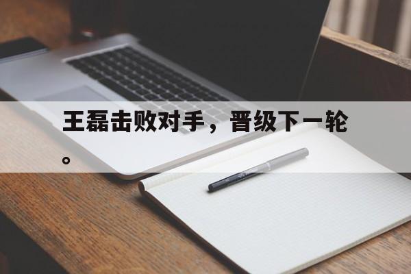 九游游戏盒-王磊击败对手，晋级下一轮。