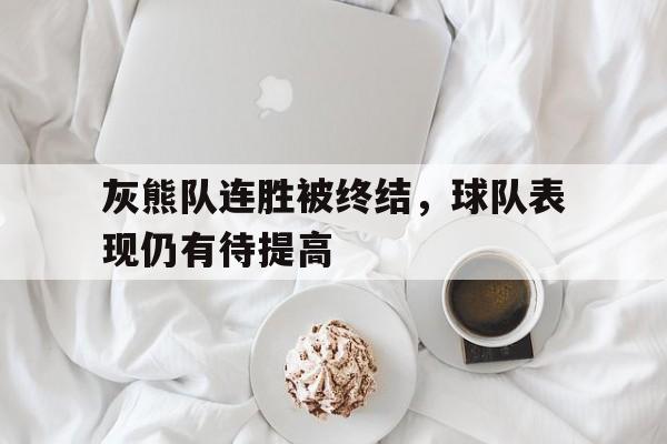 九游游戏盒-灰熊队连胜被终结，球队表现仍有待提高
